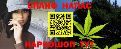 индика Заволжье
