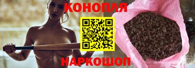 шишки Жуковский