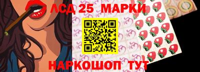 индика Заволжье