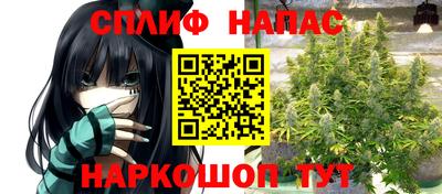 шишки Жуковский