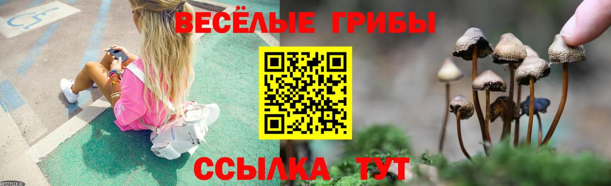 Галлюциногенные грибы мухоморы Зерноград